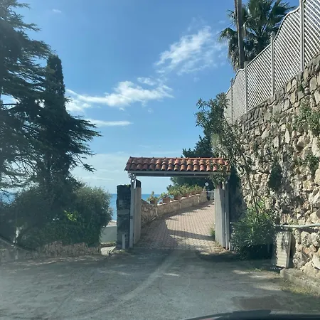 Fiorella ספרלונגה